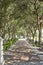 Brick Walkway Toward Fountain in Charleston Park