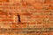 Brick wall detail vision ancient rural Italy