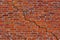 Brick wall with diagonal crack