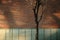 Brick Wall and Dry Tree with Natural Light Shading. Outdoor Scene, Modern Industrial Loft