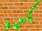 Brick wall with green vine