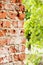 Brick wall with half blurred leaves