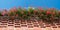 Brick wall with hanging geranium flowers, blue sky background