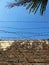 Brick Walls with Barbed Wire, Under Blue Sky