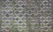 Brick worm pattern background