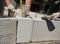 Bricklayer builders laying autoclaved aerated concrete blocks for house wall