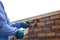 Bricklayer installing wall with cement and brick isolated on white background, File contains a clipping path.