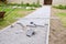 Bricklayer places concrete paving stone blocks for building up a patio, using hammer and spirit level