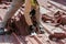 Bricklayers scraping the waterproofing off a roof with a trowel to prevent dampness in the buildings