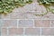 Bricks with braiding greenery background. Natural material. Backdrop. Abstract texture and Exterior. Copy space
