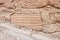 Bricks with cuneiform inscriptions