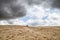 Bricks in a dry desert in cloudy weather