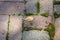 Bricks, moss and a leaf on a walkway