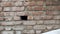 Bricks wall part of strong