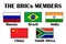 Brics members. Brazil, Russia, India, China and South Africa. Flag vector members