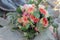 Bridal bouquet lying on the stones. Wedding bouquet of peach roses by David Austin, single-head pink rose aqua, eucalyptus, ruscu