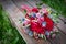 Bridal bouquet in rustic style lying on the stump outdoors. wedding concept.