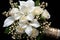 A bridal bouquet of white flowers and greenery