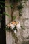 Bridal bouquet of white peonies, cream roses, orange buttercups and branches of eucalypt tree on near the wall on the