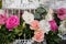 Bridal Flowers Arrangement in Bird Cage