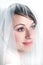 Bridal Portrait Veil Beautiful Woman