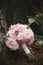 Bridal rustic bouquet over wooden background.