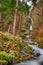 Bridal Veil Falls near Multnomah Falls outside of Portland