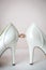 Bridal wedding sandal shoes, Women Luxury Brand High Heels Pumps Silk shoes, Formal Party Wedding shoes,