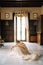 Bride in a beautiful dress sits on the floor of the room with her head on her knees against the background of the window