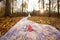 Bride and bridegroom in the autumn forest and bridal bouquet on a long bridal veil