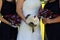 Bride and bridesmaids holding floral bouquets