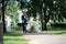 Bride and groom on the background of the park alley.