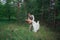 Bride and groom fooling around on the background of leaves forest