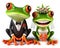 bride and groom getting married illustration of a funny red eyed tree frog