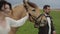 The bride and groom hold a horse on both sides and walk along a green meadow. View from the side. Close-up. Slow-motion