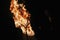 bride and groom holding burning hearts, amazing fire show at night at festival or wedding party. fire show performance and