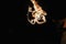 bride and groom holding burning hearts, amazing fire show at night at festival or wedding party. fire show performance and