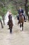 Bride and groom on the horses
