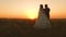 Bride and groom hug each other at sunset. Romantic evening of lovers in field. Honeymoon. Man and woman are relaxing