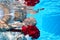 Bride and groom kissing underwater dive pool water rose