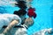 Bride and groom kissing underwater dive pool water rose