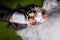 Bride and groom lying on the grass-like carpet