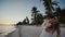 The bride and groom by the ocean. Kisses at sunset on a beautiful tropical beach with palm trees. Romantic married