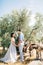 bride and groom in olive grove, looking at each other and holding hands cute donkeys next to them