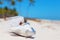 Bride and groom in small wedding plane model on the beach