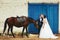 Bride and groom stand with a horse behind blue gates