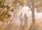 Bride and groom walk in the morning autumn forest in the rays of the bright sun, white fog behind, a gentle and sweet