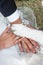 Bride and grooms hands with dogs paw on it