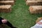 A bride and grooms legs stand in the wedding aisle that is made of haystacks