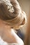 Bride with a hairdo and pearl hairpin in her hair